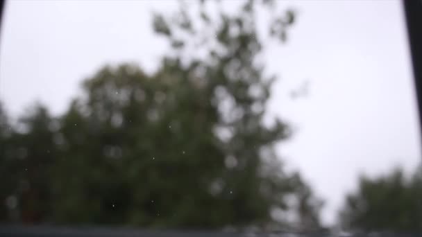 창문 밖의 빗줄기 스톡 비디오