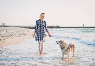 Genç erkek Sibirya husky köpek ile deniz cephesinde güneş doğarken yürüme.