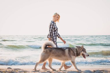 Genç erkek Sibirya husky köpek ile deniz cephesinde güneş doğarken yürüme.