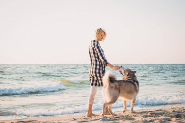 Genç erkek Sibirya husky köpek ile deniz cephesinde güneş doğarken yürüme.