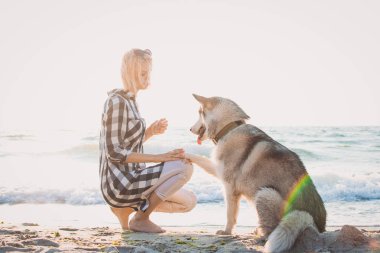 Oynama ve Sibirya husky köpek sahilde güneş doğarken eğitim genç erkek