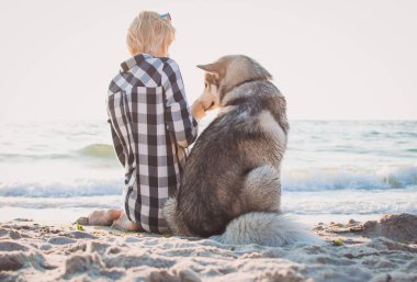 Sibirya husky köpek gündoğumu plaj ile genç kadın sittiing