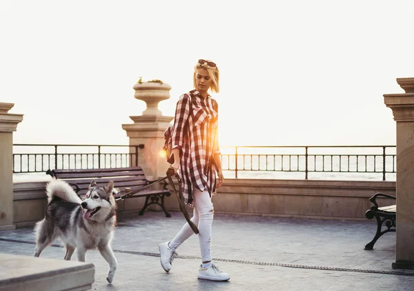 Jovem fêmea caminhando com cão husky siberiano em frente ao mar ao nascer do sol — Fotografia de Stock