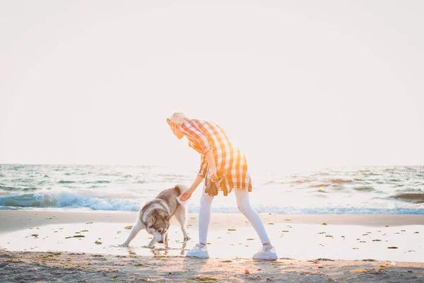 Jovem fêmea caminhando com cão husky siberiano em frente ao mar ao nascer do sol — Fotografia de Stock