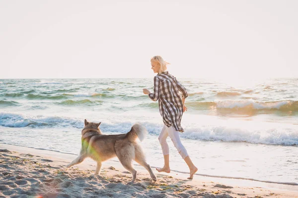 Genç erkek Sibirya husky köpek ile deniz cephesinde güneş doğarken çalıştıran.