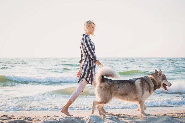 Молодая женщина гуляет с сибирской хаски-собакой на берегу моря на рассвете — стоковое фото