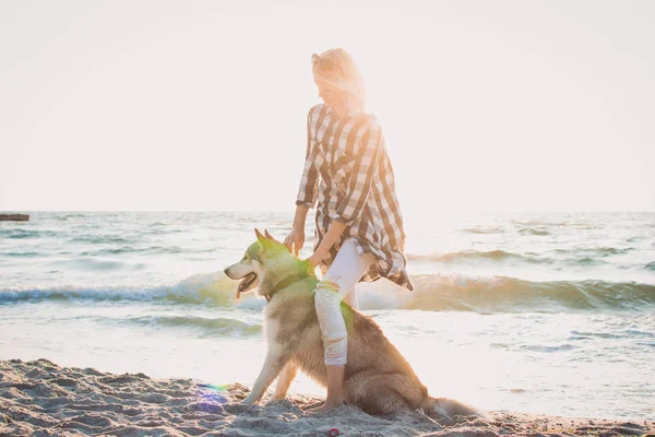 Joven hembra jugando y entrenando con perro husky siberiano en la playa al amanecer — Foto de Stock