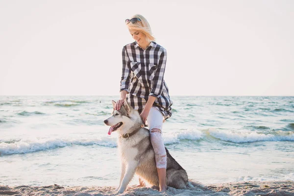 Jovem fêmea brincando e treinando com cachorro husky siberiano na praia ao nascer do sol — Fotografia de Stock