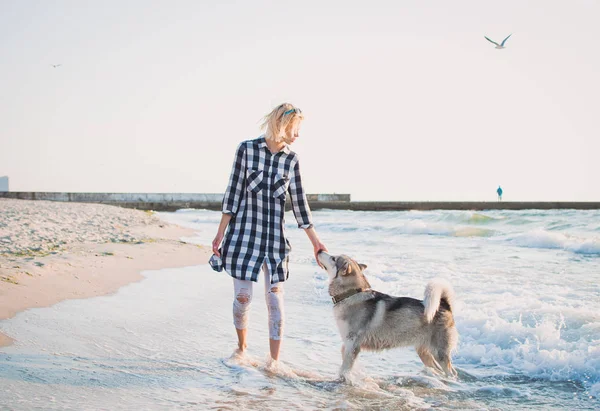 Молодая женщина гуляет с сибирской хаски-собакой на берегу моря на рассвете — стоковое фото