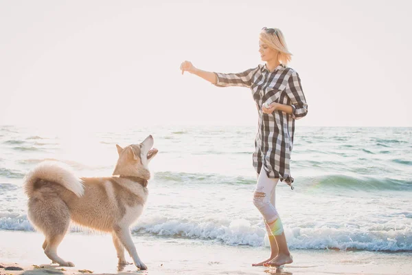 Jovem fêmea brincando e treinando com cachorro husky siberiano na praia ao nascer do sol — Fotografia de Stock