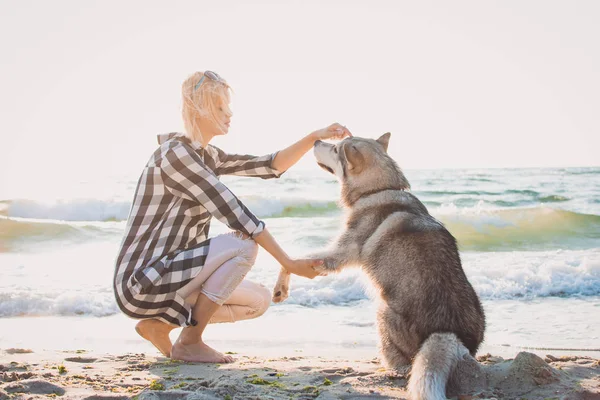 Mladá žena hraje a trénuje s sibiřský husky psa na pláži při západu slunce — Stock fotografie