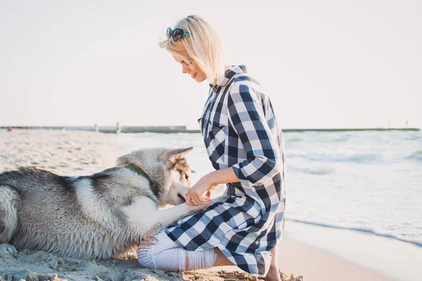 Jovem fêmea brincando com siberiano husky cão na praia ao nascer do sol — Fotografia de Stock