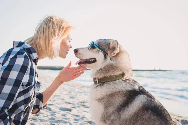Молодая женщина играет с сибирской хаски-собакой в солнечных очках на пляже на рассвете — стоковое фото