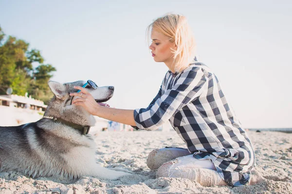 Молодая женщина надевает солнцезащитные очки на сибирскую хаски собаку на пляже — стоковое фото
