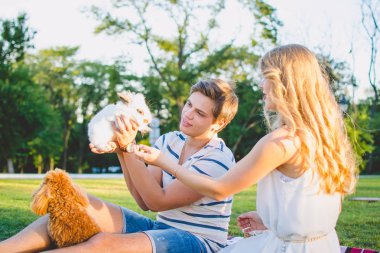 Parkta köpek ve tavşan ile yeşil Çimenlikte oturan genç çekici çift
