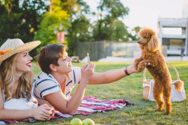  Parkta köpek ile genç çekici çift alarak fotoğraf
