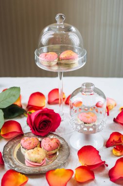 Kupa kutlama tablo şeklinde kek