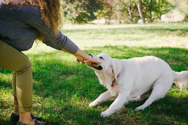 Genç kadın köpekle oynamayı 