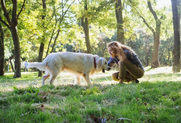 Junge Hündin spielt mit Hund — Stockfoto