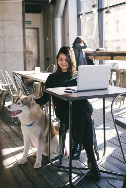 Женщина с ноутбуком в кафе с хаски-догом — стоковое фото