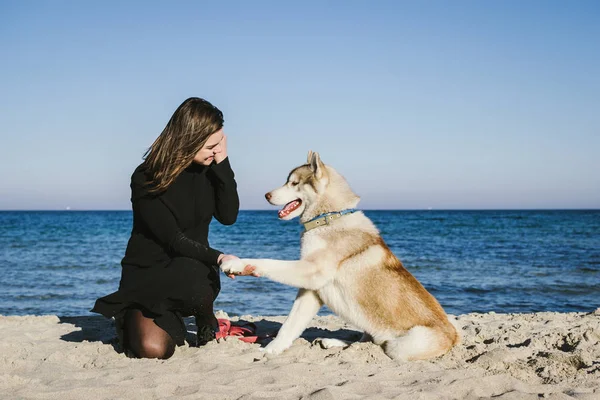 Женщина на морском пляже с сибирской хаски-собакой — стоковое фото