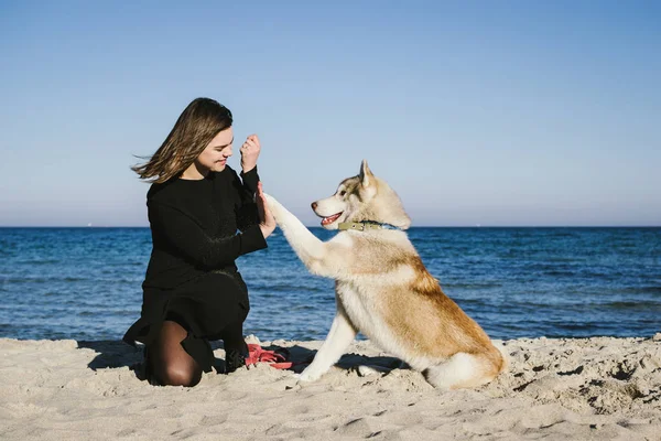 Mulher na praia do mar com cão husky siberiano — Fotografia de Stock