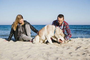 Sibirya husky köpek ile plajda Çift
