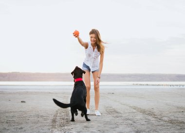 Genç kadın oynama ve gün batımında sahilde labrador retriever köpek eğitim
