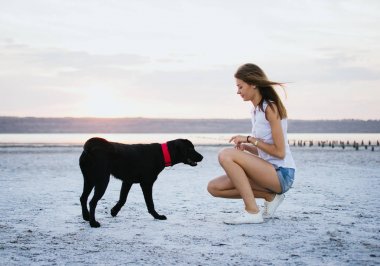 Genç kadın eğitim labrador retriever köpek gün batımında sahilde