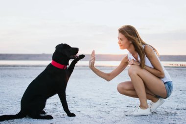 Genç kadın eğitim labrador retriever köpek gün batımında sahilde