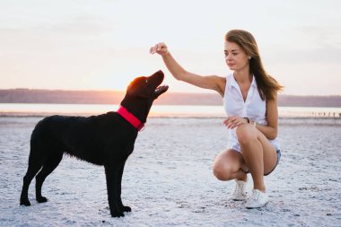 Genç kadın eğitim labrador retriever köpek gün batımında sahilde