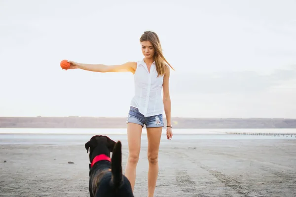 Jovem fêmea brincando e treinando labrador retriever cão na praia ao pôr do sol — Fotografia de Stock