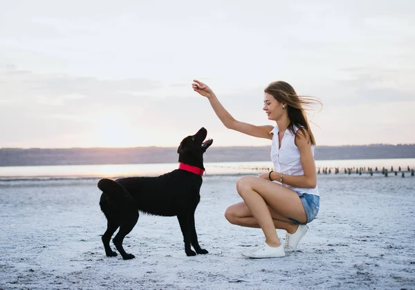 해질녘 해변에서 젊은 여성 훈련 래브라도 리트리버 강아지 — 스톡 사진