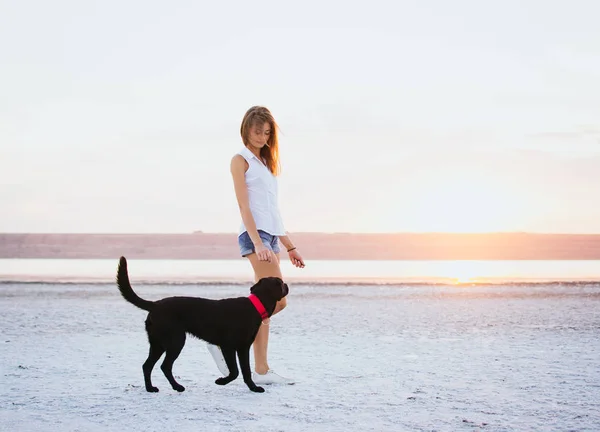 젊은 여성 래브라도 리트리버 강아지와 해변에 석양 산책 — 스톡 사진