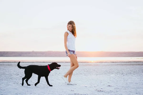 Jovem fêmea caminhando com cão labrador retriever na praia ao pôr do sol — Fotografia de Stock