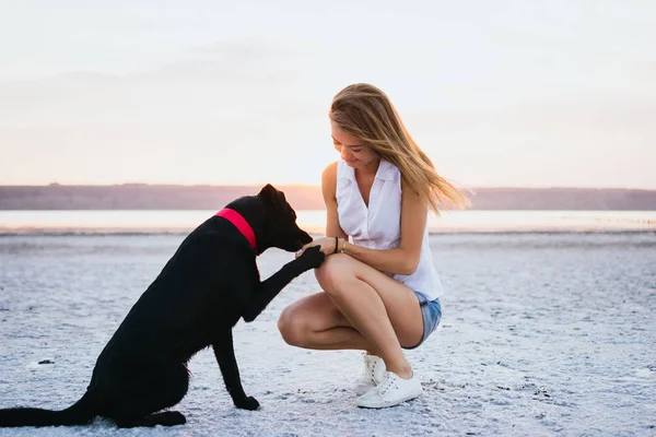 Genç kadın eğitim labrador retriever köpek gün batımında sahilde
