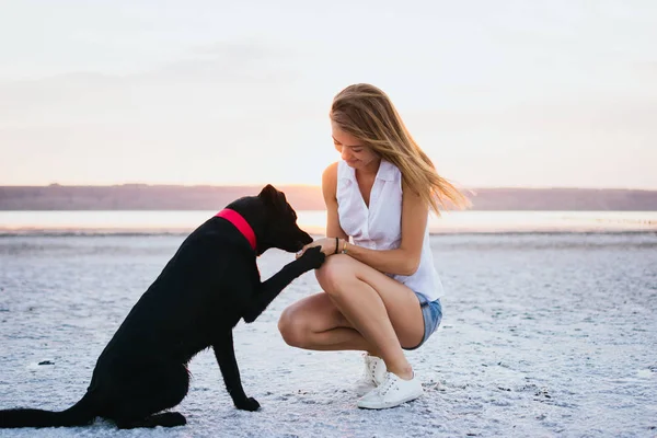 Молодая собака-лабрадор на пляже на закате — стоковое фото