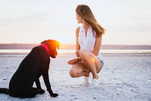 Молодая женщина с собакой-лабрадором на пляже на закате — стоковое фото