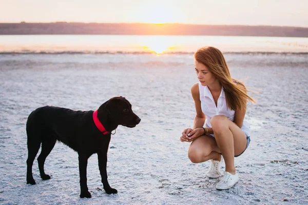 Genç kadın eğitim labrador retriever köpek gün batımında sahilde