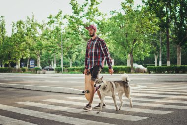 Kaykay ve Sibirya husky köpek ile sokak yolda yürüyen genç hipster adam