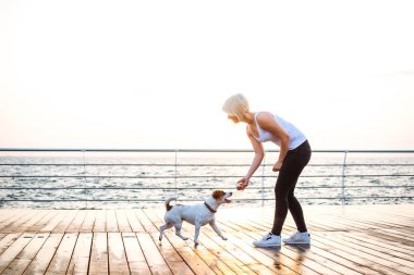 Genç kadın eğitim şirin köpek 