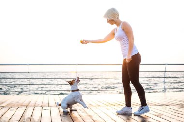 Genç kadın eğitim şirin köpek