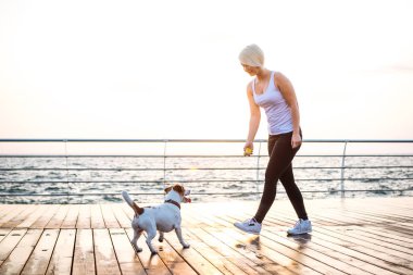 Genç kadın eğitim şirin köpek 