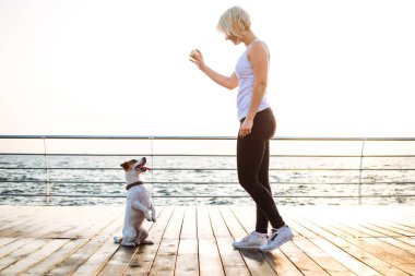 Genç kadın eğitim şirin köpek