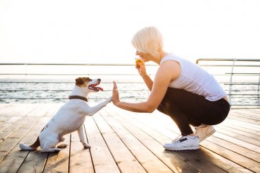Genç kadın eğitim şirin köpek