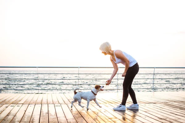 Genç kadın eğitim şirin köpek 