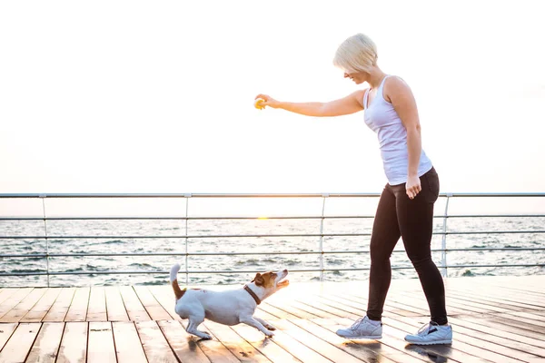 Mujer joven entrenamiento lindo perro —  Fotos de Stock