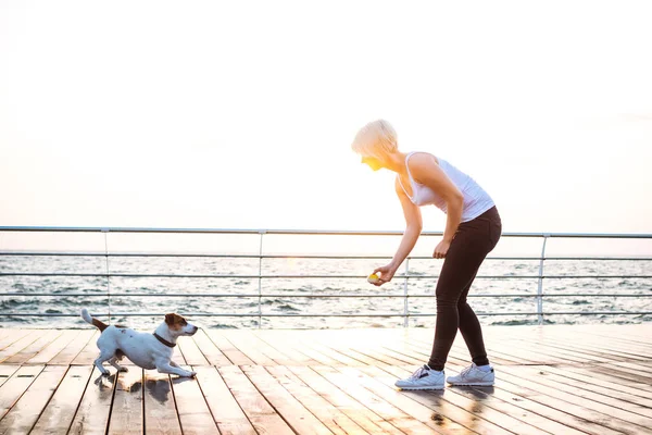 Genç kadın eğitim şirin köpek 