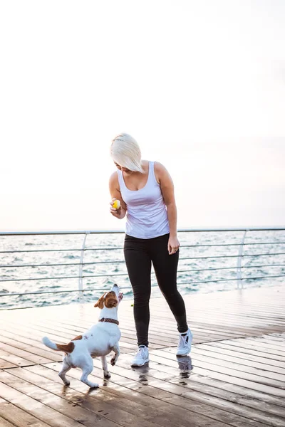 Jonge vrouw opleiding schattige hond — Stockfoto