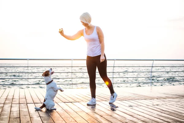 Genç kadın eğitim şirin köpek 